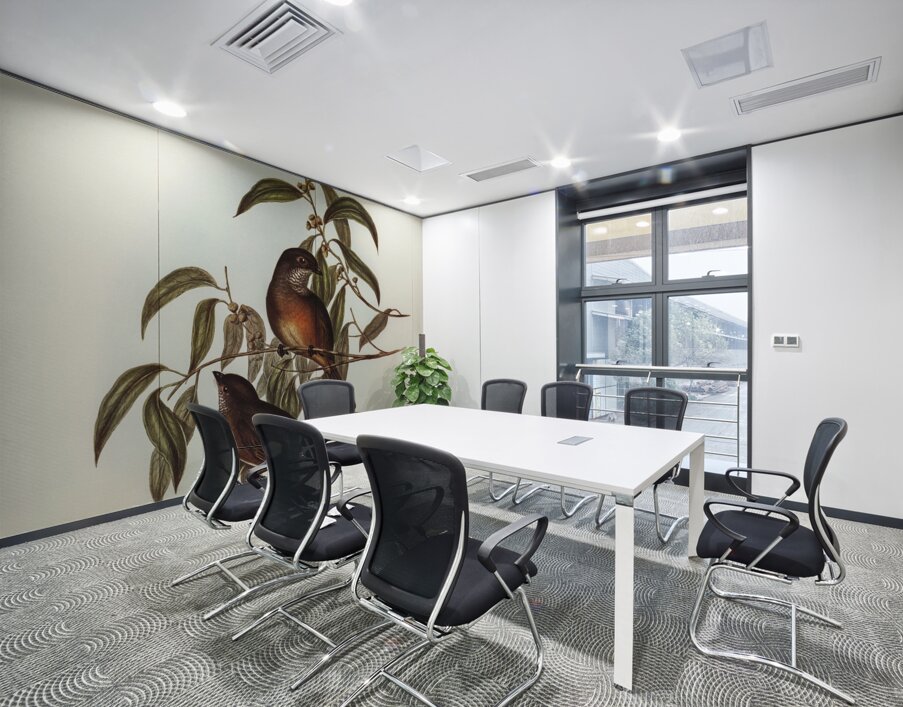 Olivaceous Pachycephala Pachycephala olivacea Vig&Horsf illustrated by Elizabeth Gould 1804–1841 for John Gould’s 1804-1881 Birds of Australia  Wall Printing