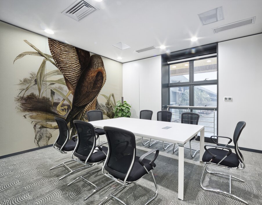 Australian Goshawk Astur approximans illustrated by Elizabeth Gould 1804–1841 for John Gould’s 1804-1881 Birds of Australia  Wall Printing