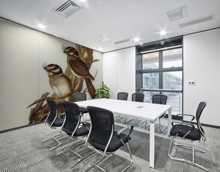 White-bellied Owlet Nightjar Aegotheles leucogaster Gould illustrated by Elizabeth Gould 1804–1841 for John Gould’s 1804-1881 Birds of Australia  Wall Printing