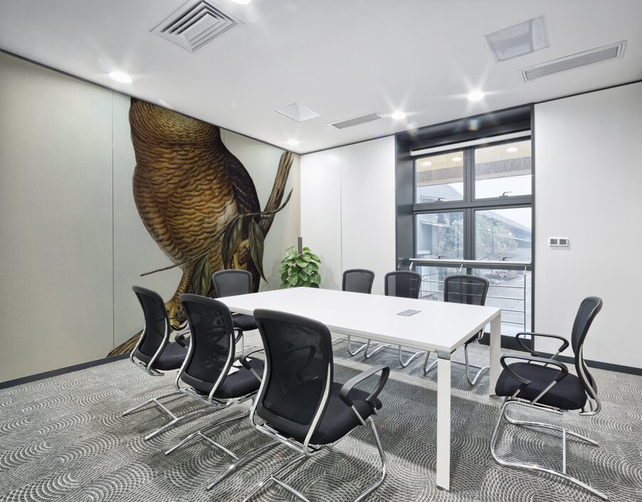 Rufous Owl Athene rufa illustrated by Elizabeth Gould 1804–1841 for John Gould’s 1804-1881 Birds of Australia  Wall Printing