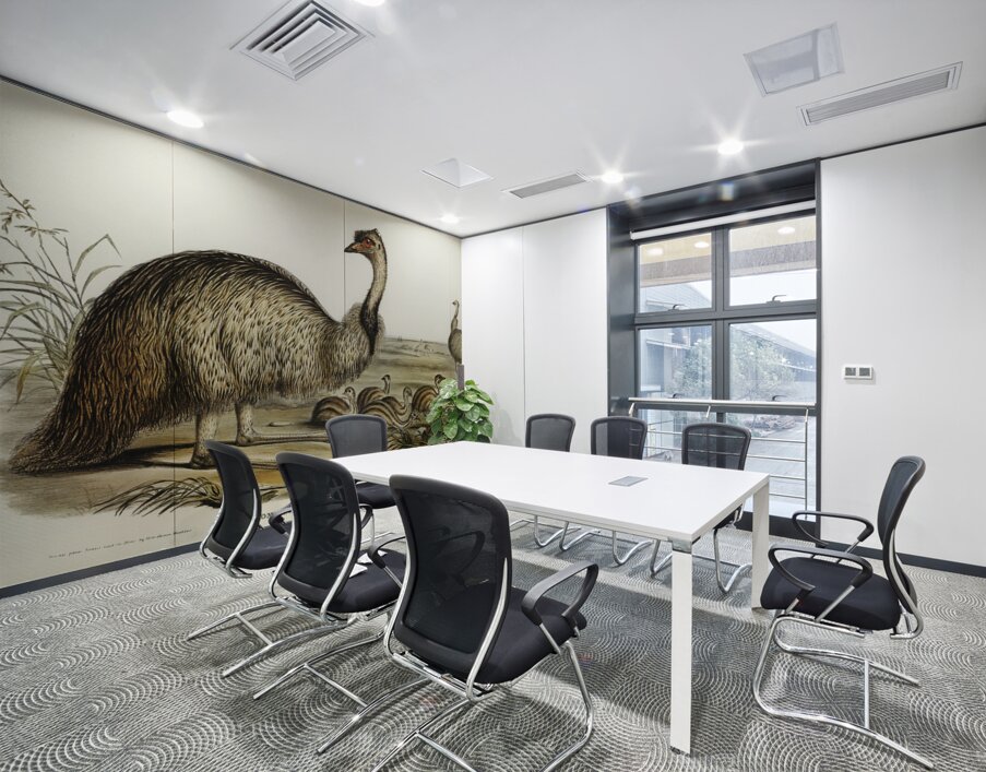 The Emu Dromaius Novae-Hollandiae illustrated by Elizabeth Gould 1804–1841 for John Gould’s 1804-1881 Birds of Australia  Wall Printing