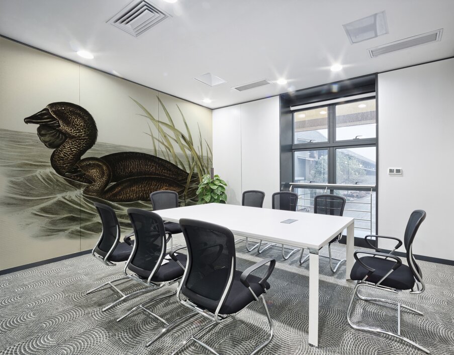 Musk Duck Biziura lobata illustrated by Elizabeth Gould 1804–1841 for John Gould’s 1804-1881 Birds of Australia  Wall Printing