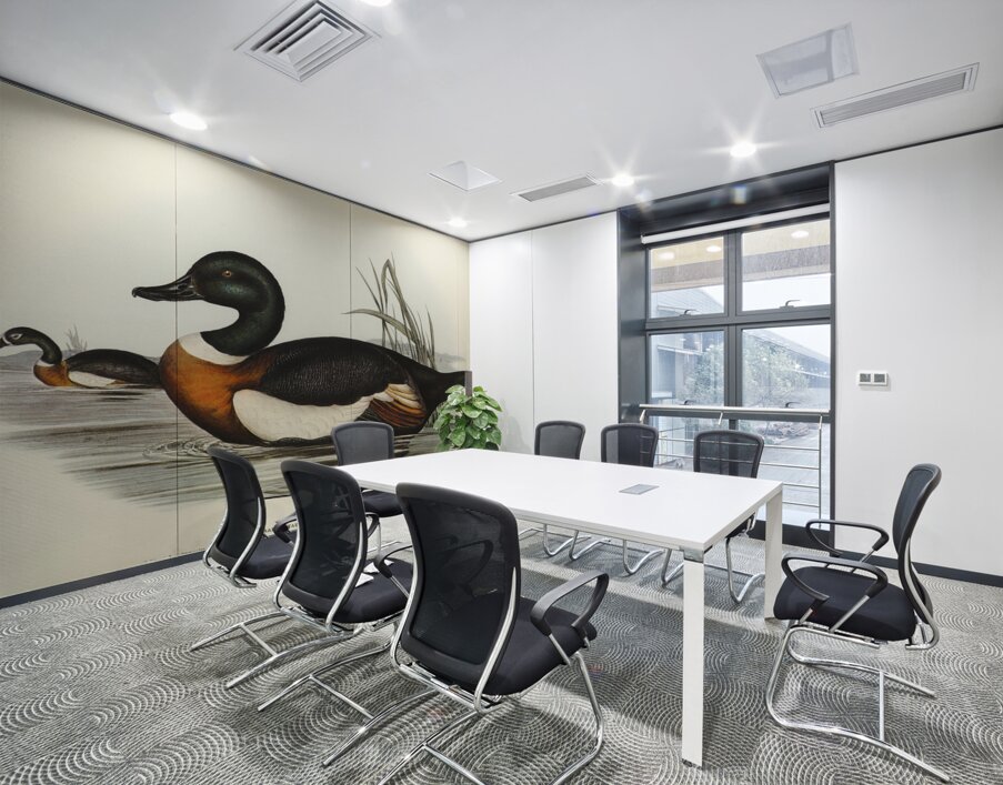 Chesnut-Coloured Shieldrake Casarca Tadornoides illustrated by Elizabeth Gould 1804–1841 for John Gould’s 1804-1881 Birds of Australia  Wall Printing