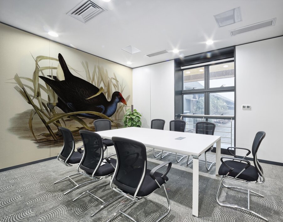 Zure-breasted Porphyrio Porphyrio bellus illustrated by Elizabeth Gould 1804–1841 for John Gould’s 1804-1881 Birds of Australia  Wall Printing