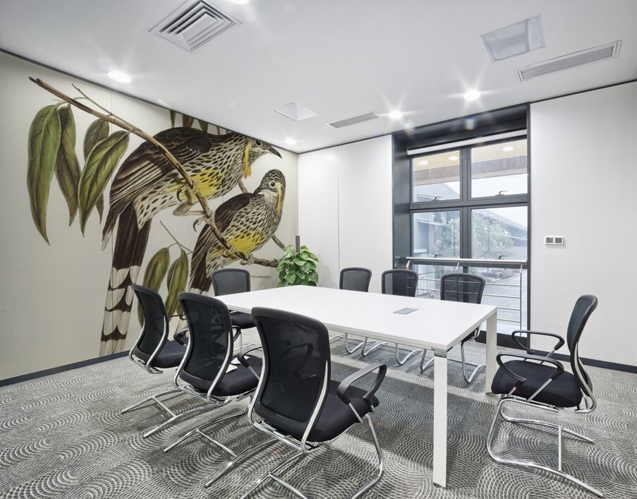 Graeat Wattled Honey-eater Anthochaera inauris illustrated by Elizabeth Gould 1804–1841 for John Gould’s 1804-1881 Birds of Australia  Wall Printing