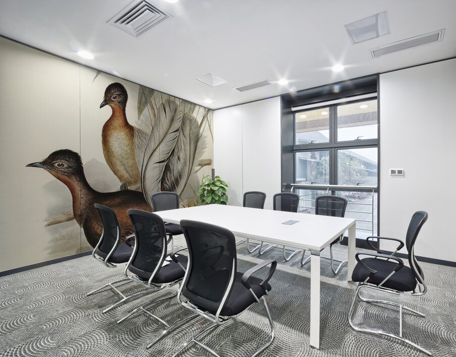 Albert Lyre-Bird Menura Alberti illustrated by Elizabeth Gould 1804–1841 for John Gould’s 1804-1881 Birds of Australia  Wall Printing