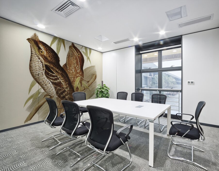 Marbled Podargus Podargus marmoratus illustrated by Elizabeth Gould 1804–1841 for John Gould’s 1804-1881 Birds of Australia  Wall Printing