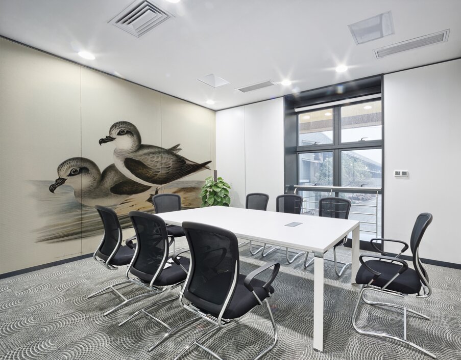 Soft-plumaged Petrel Procellaria mollis illustrated by Elizabeth Gould 1804–1841 for John Gould’s 1804-1881 Birds of Australia  Wall Printing