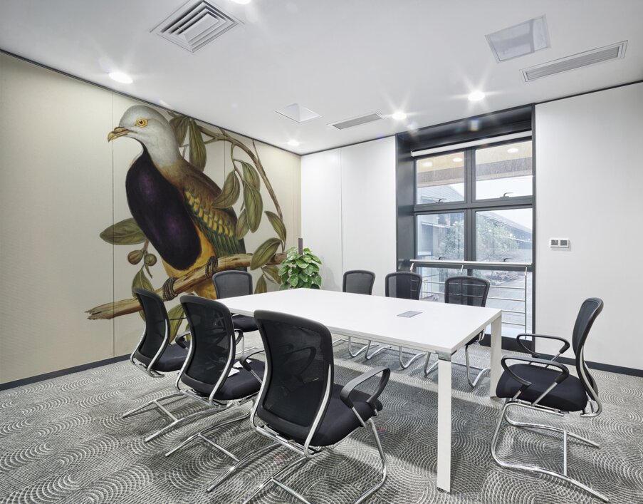 Magnificent Fruit Pigeon Carpophaga magnifica illustrated by Elizabeth Gould 1804–1841 for John Gould’s 1804-1881 Birds of Australia  Wall Printing