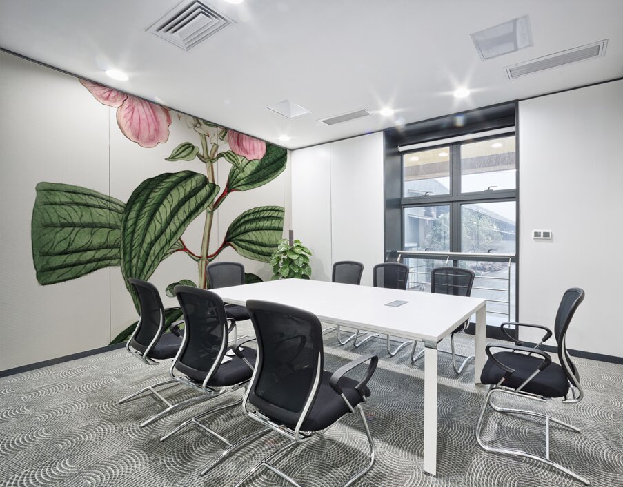 Starry osbeckia from Edwards Botanical Register 1829-1847  by Sydenham Edwards John Lindley and James Ridgway. Wall Printing