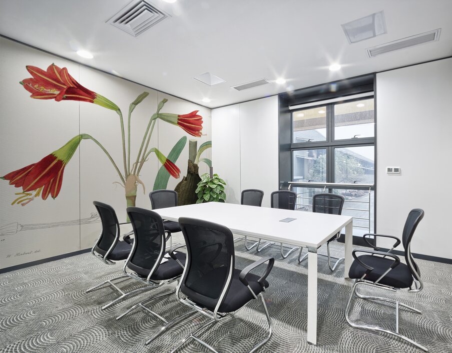 Habranthus phycelloides from Edwards Botanical Register 1829-1847  by Sydenham Edwards John Lindley and James Ridgway. Wall Printing