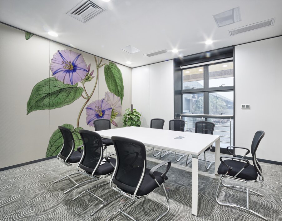 Hoary jacquemontia from Edwards Botanical Register 1829-1847  by Sydenham Edwards John Lindley and James Ridgway. Wall Printing