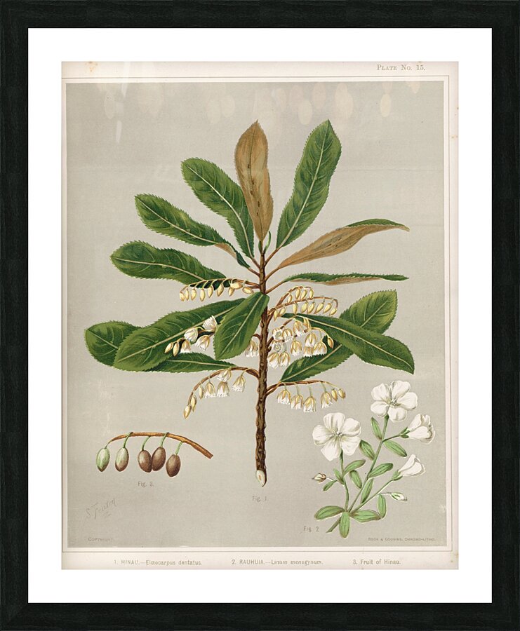 Sarah Featon 009 Picture Frame print