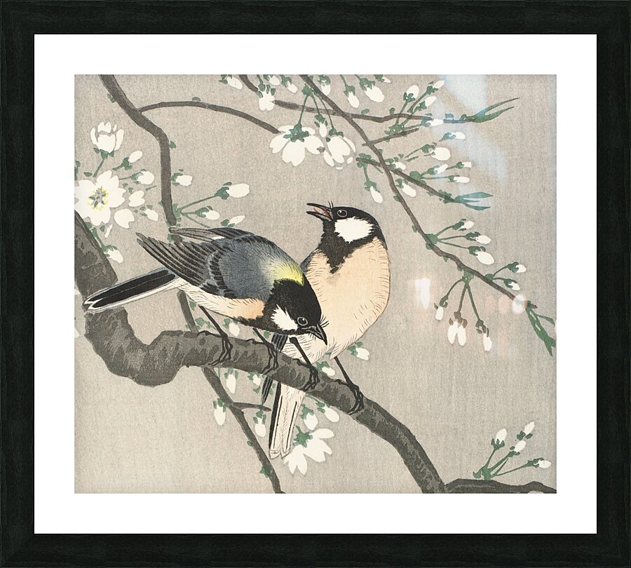 Tits on Cherry Branch 1900-1910 by Ohara Koson 1877-1945 Picture Frame print