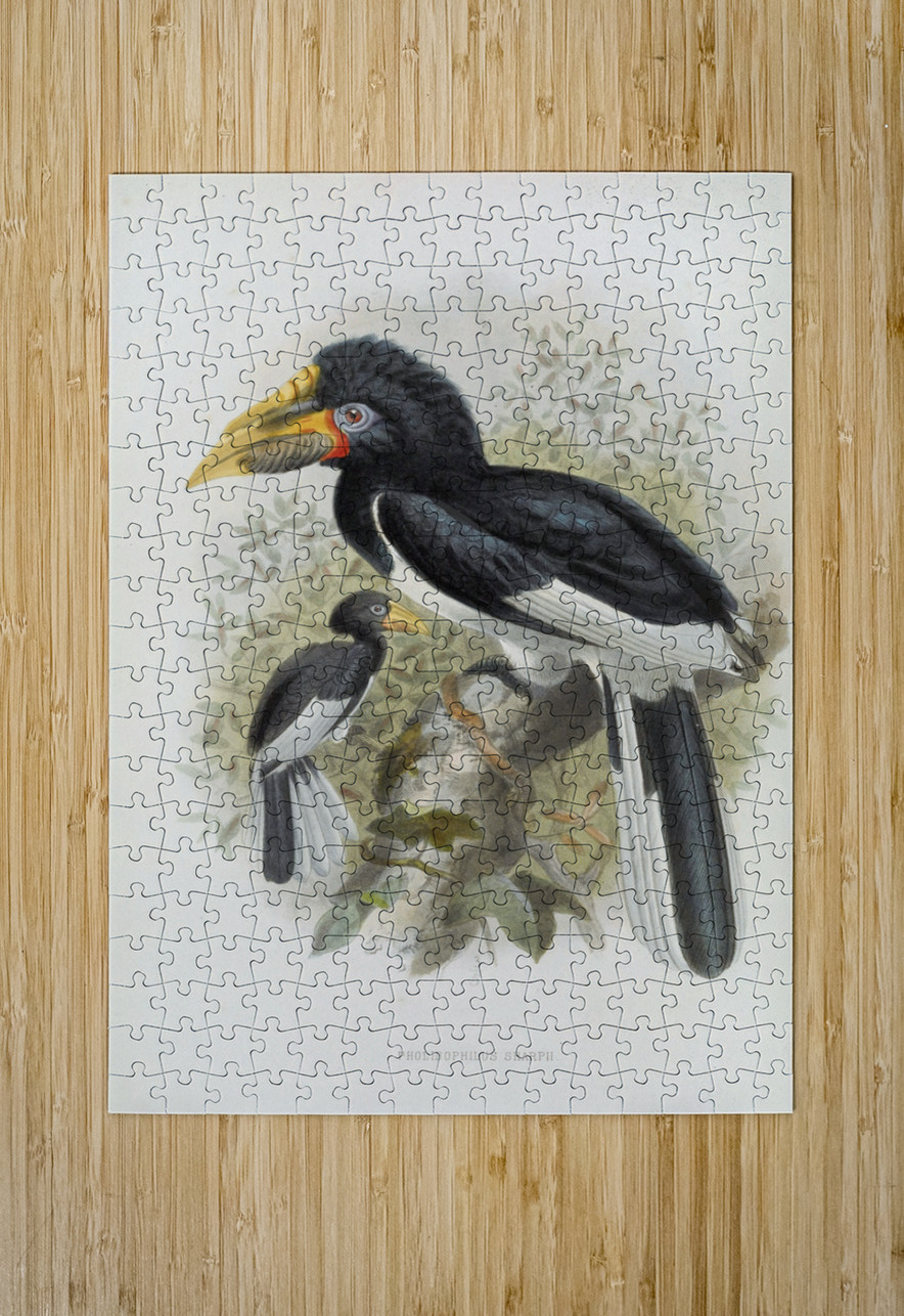 Pholidophalus sharpii 1882 IStockHistory com Puzzle printing