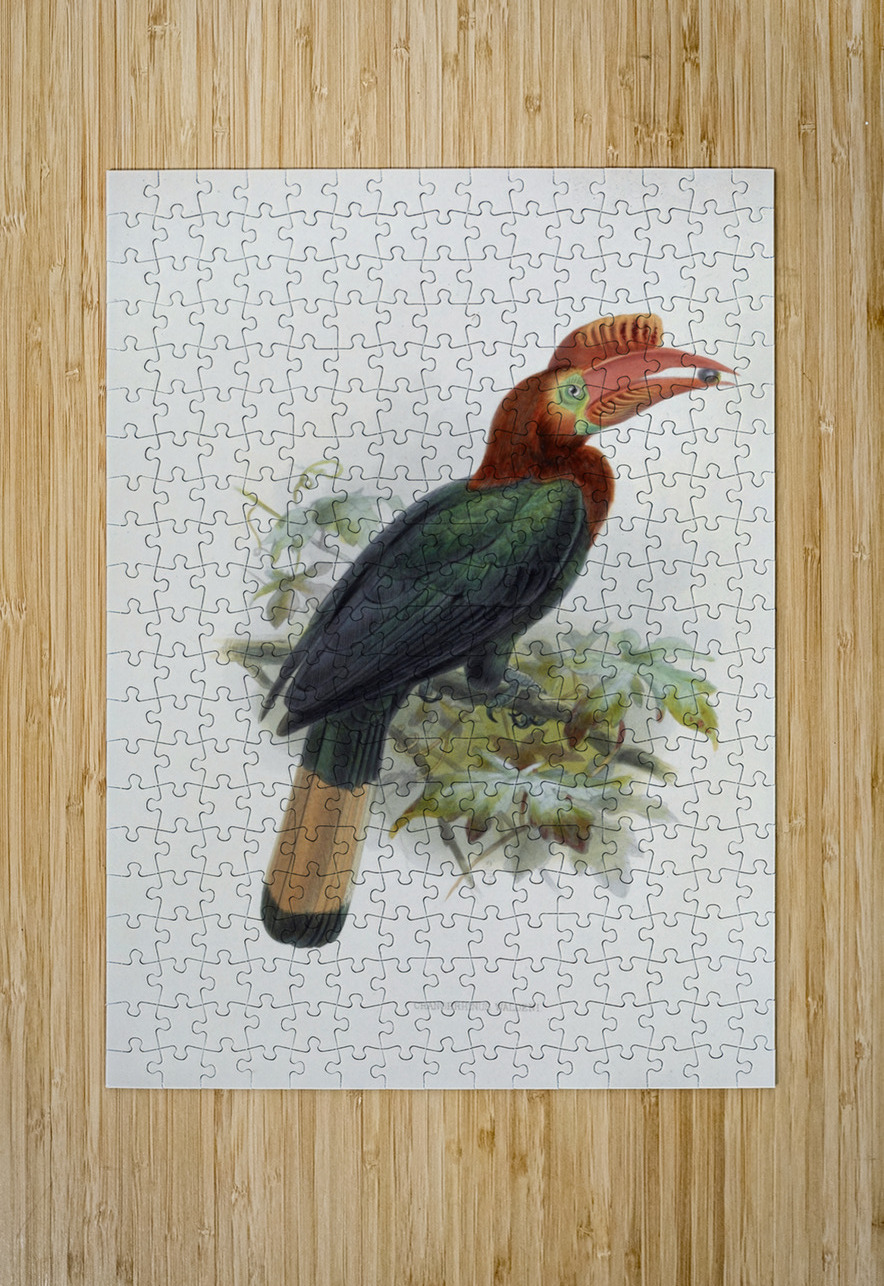 Cranorrhinus waldeni 1882 IStockHistory com Puzzle printing