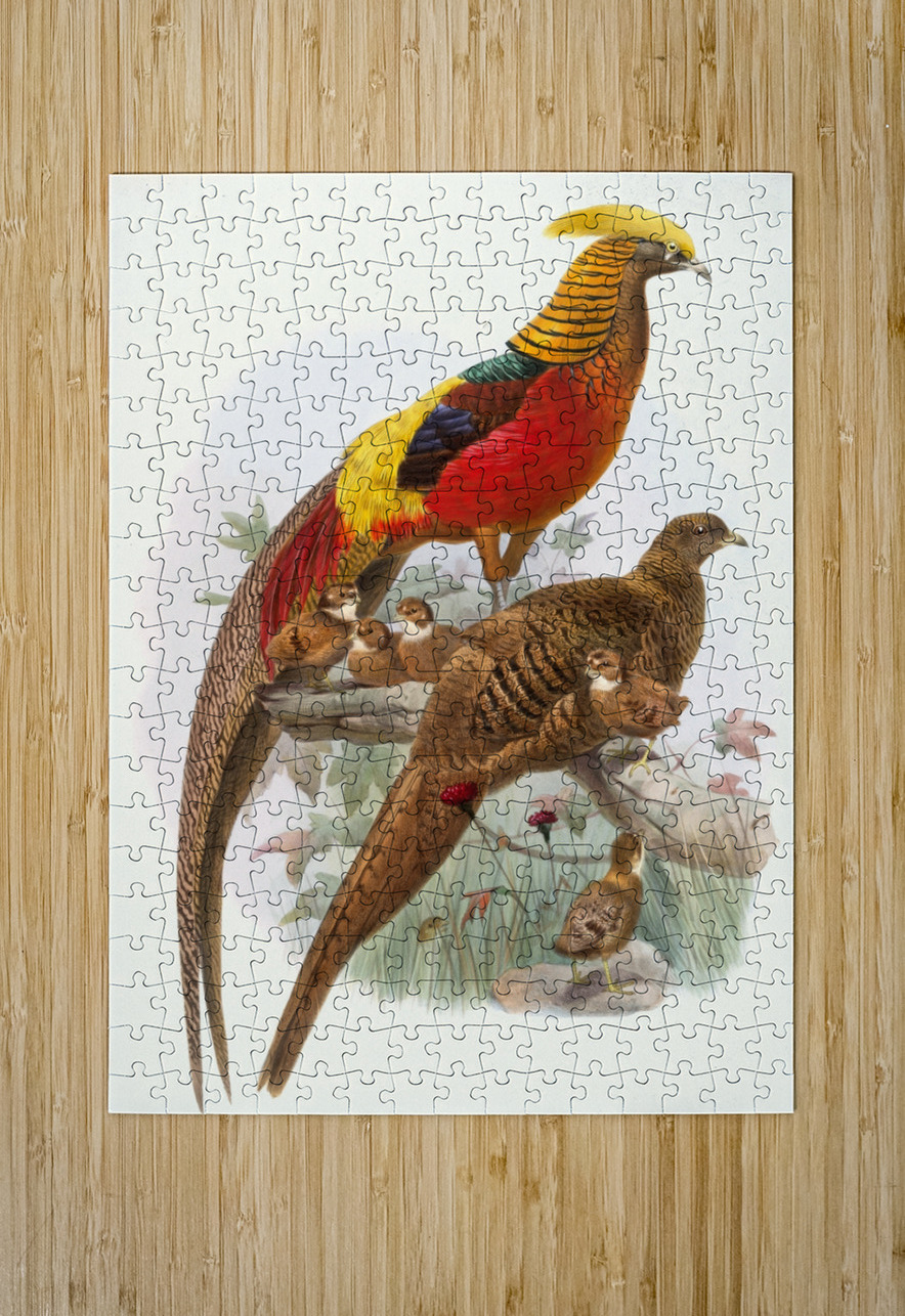 Thaumalea obscura. 1872 IStockHistory com Puzzle printing