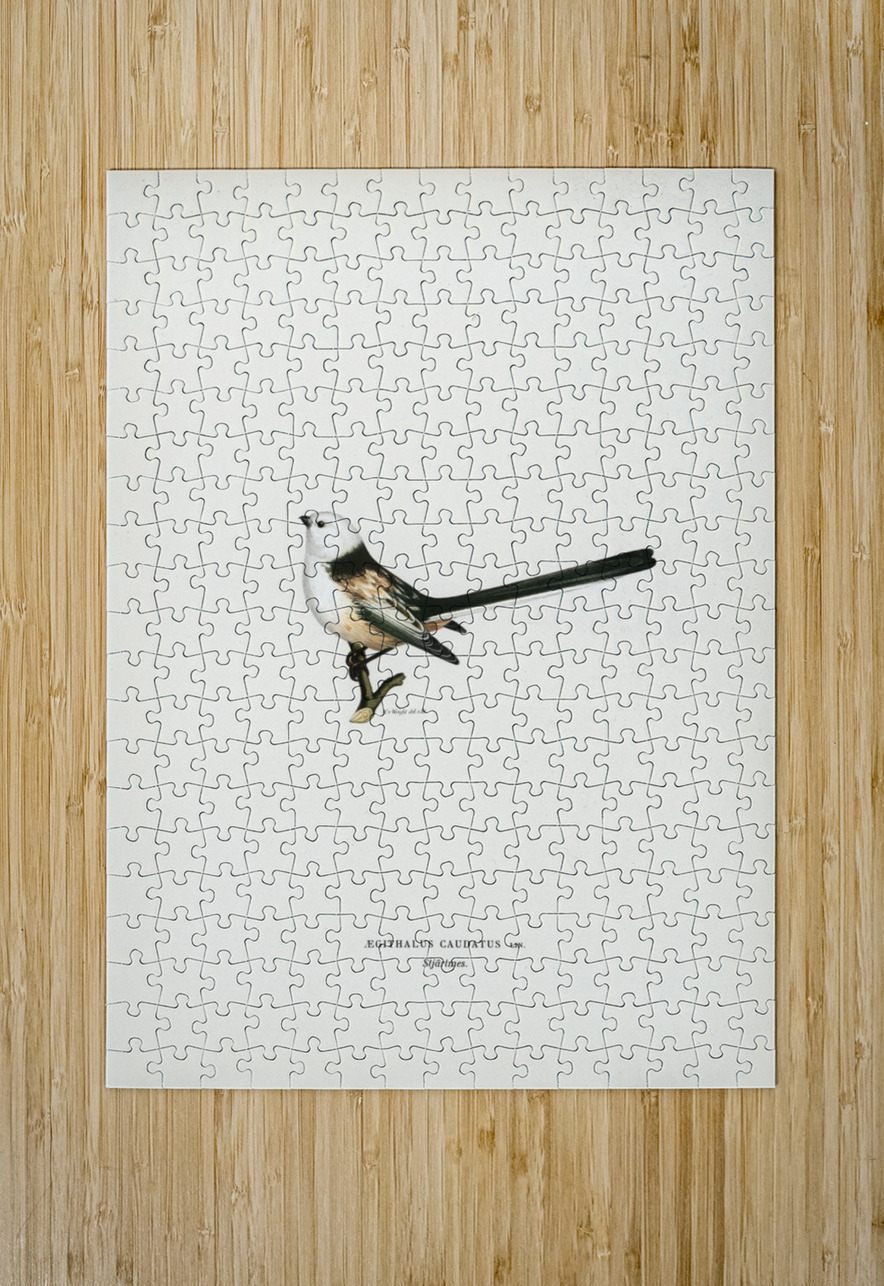 Aegithalus caudatus Long-tailed tit IStockHistory com Puzzle printing