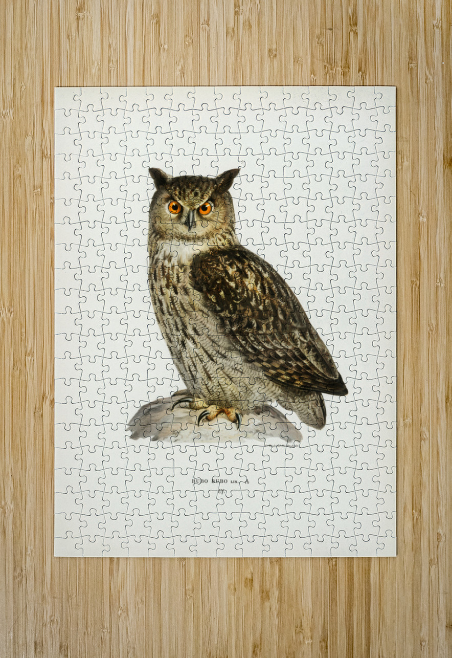 Eurasian eagle-owl BUBO BUBO IStockHistory com Puzzle printing