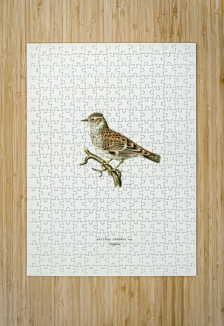 Woodlark Lullula arborea IStockHistory com Puzzle printing