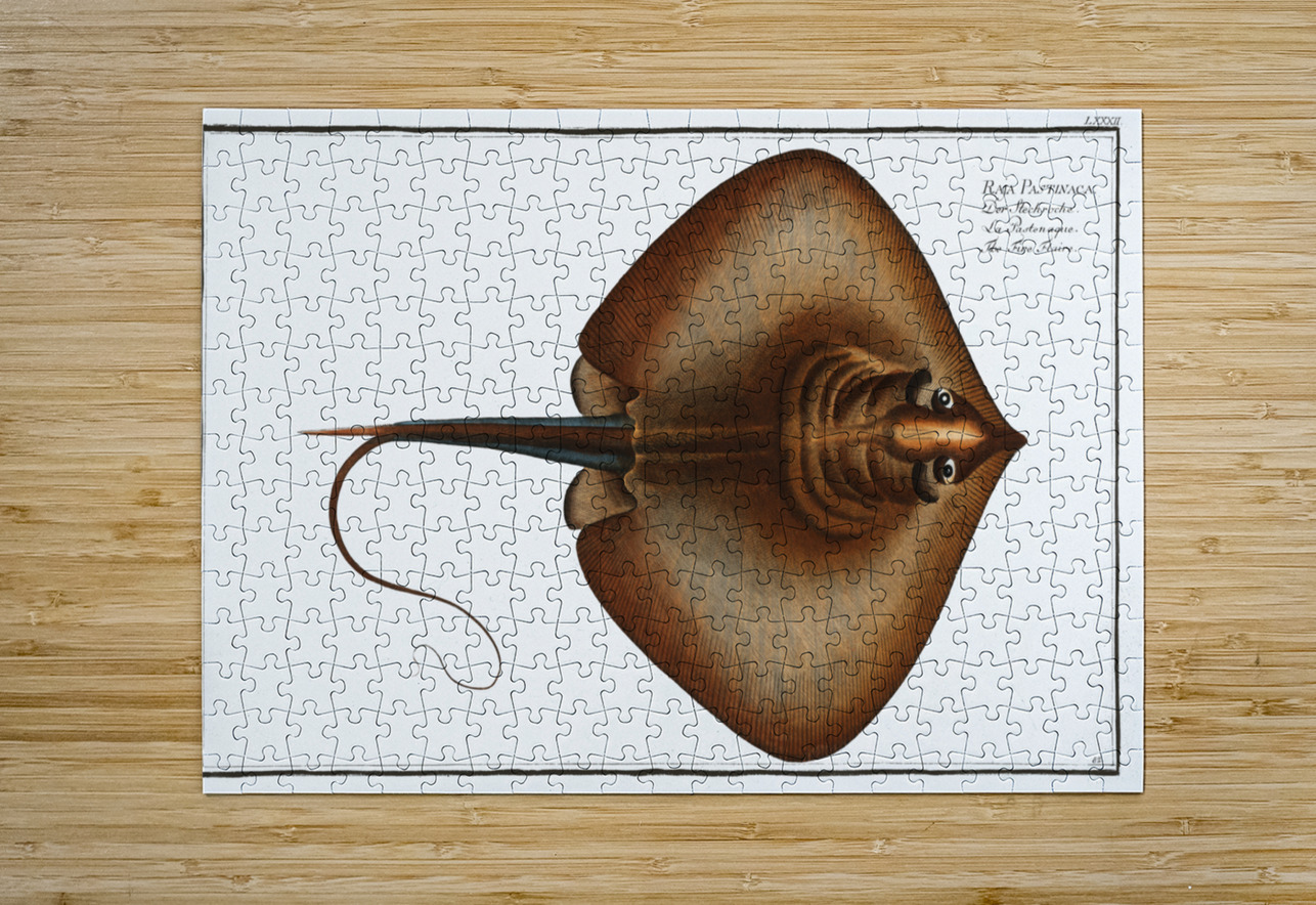 Fire Flaire Raja Pastinaca IStockHistory com Puzzle printing