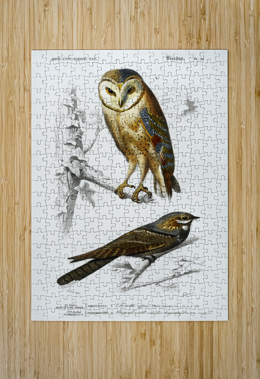 Different types of birds IStockHistory com Puzzle printing