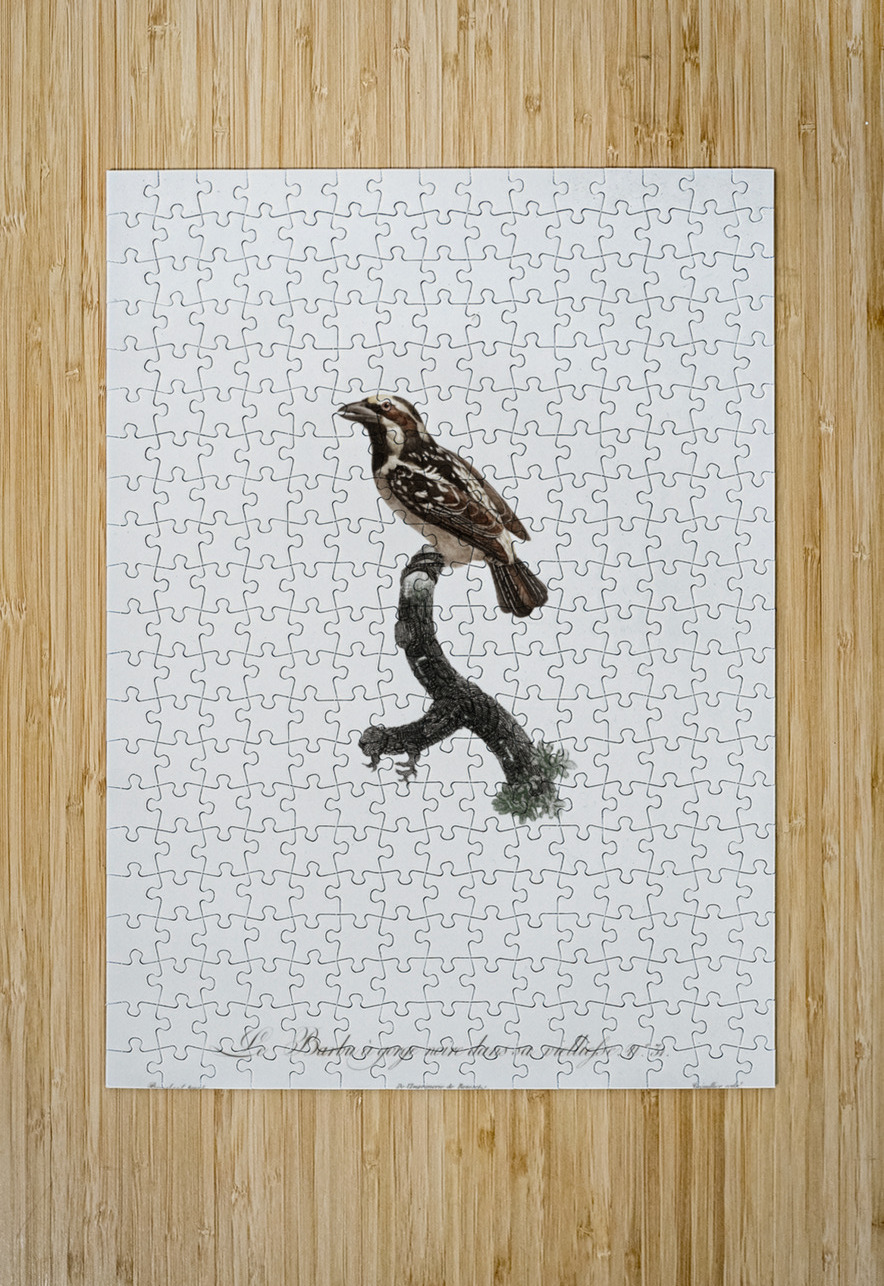 Old braeded tachuri  IStockHistory com Puzzle printing