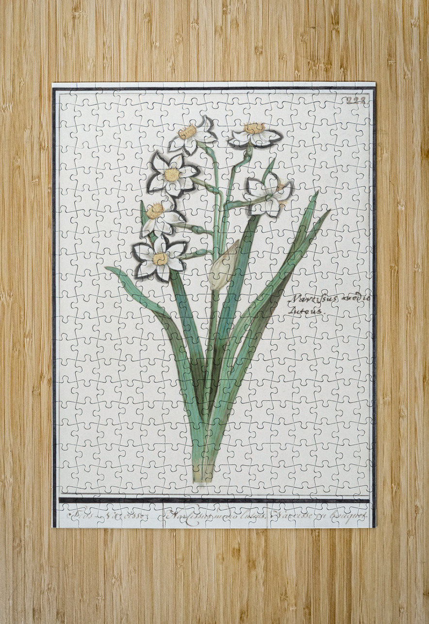 Iris in vintage style IStockHistory com Puzzle printing