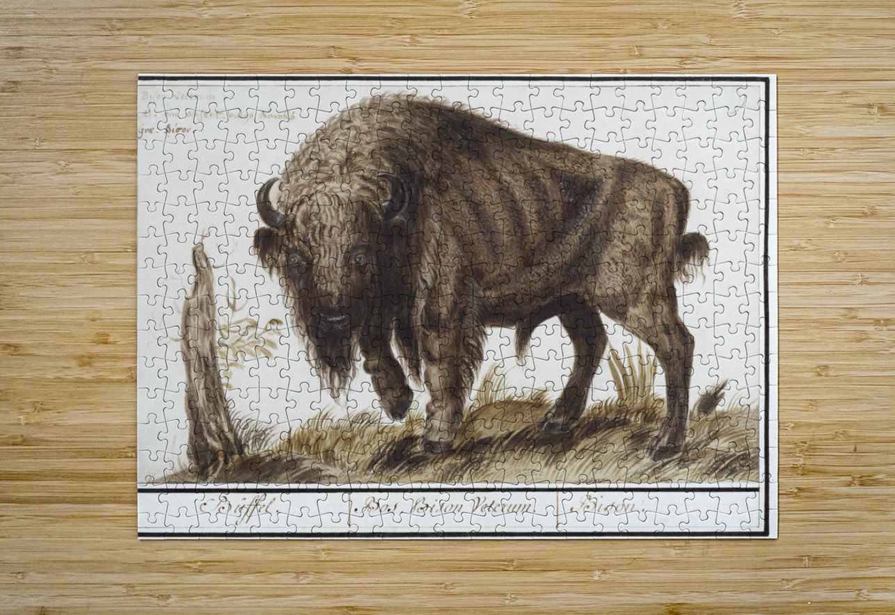 Wisent in vintage style IStockHistory com Puzzle printing