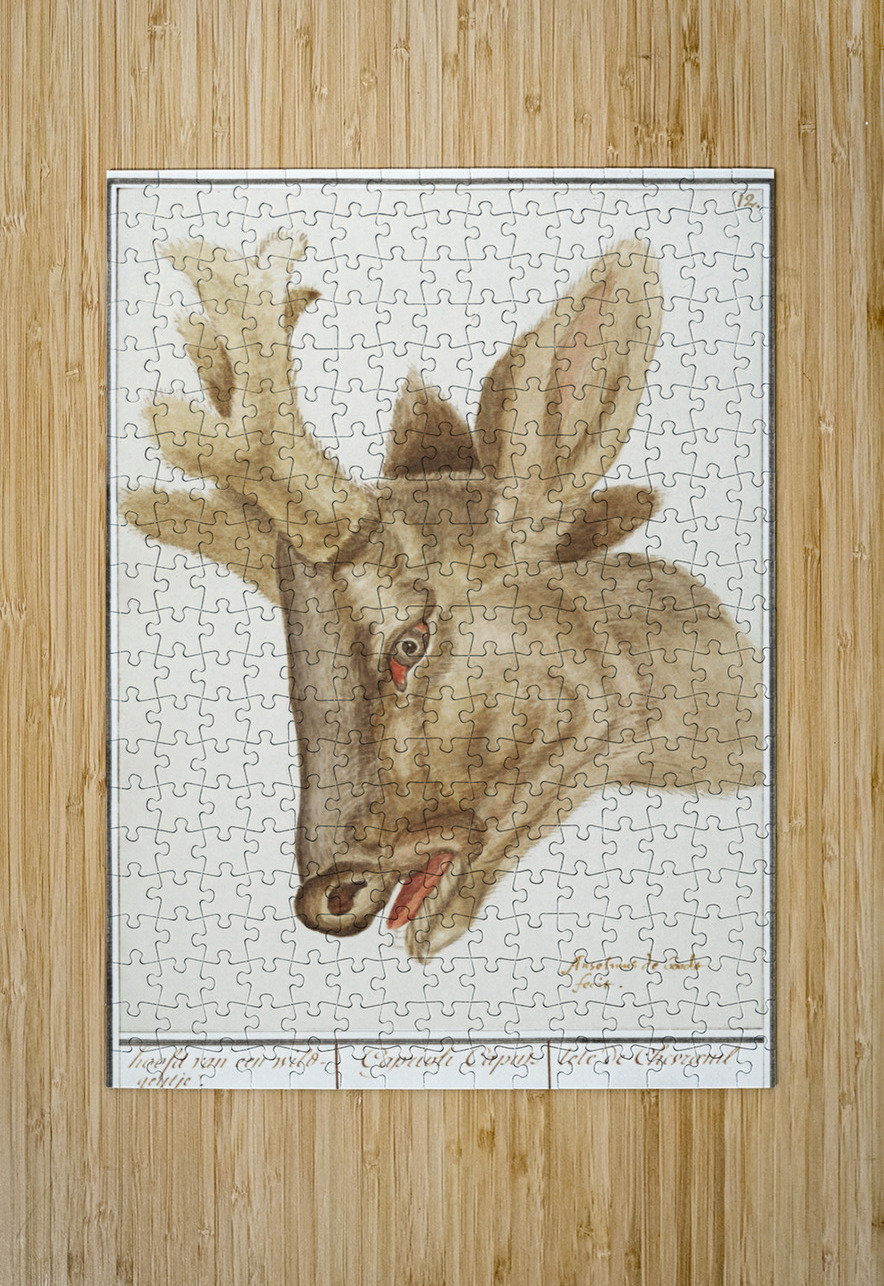 Deer head in vintage style IStockHistory com Puzzle printing
