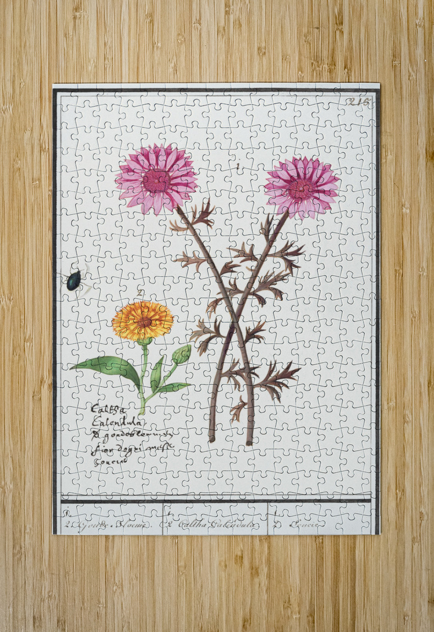 Pink flower and marigold in vintage style IStockHistory com Puzzle printing