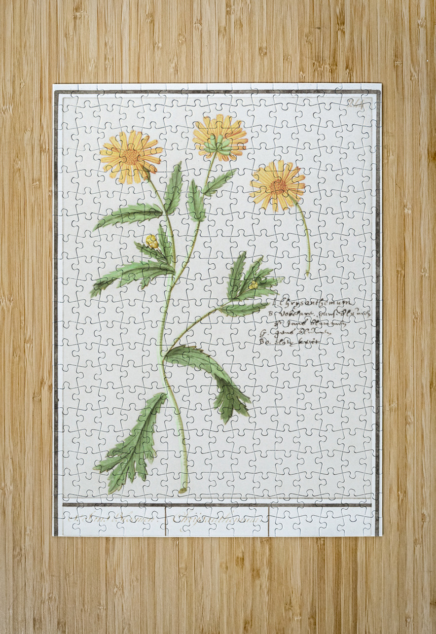 Chrysanths in vintage style IStockHistory com Puzzle printing
