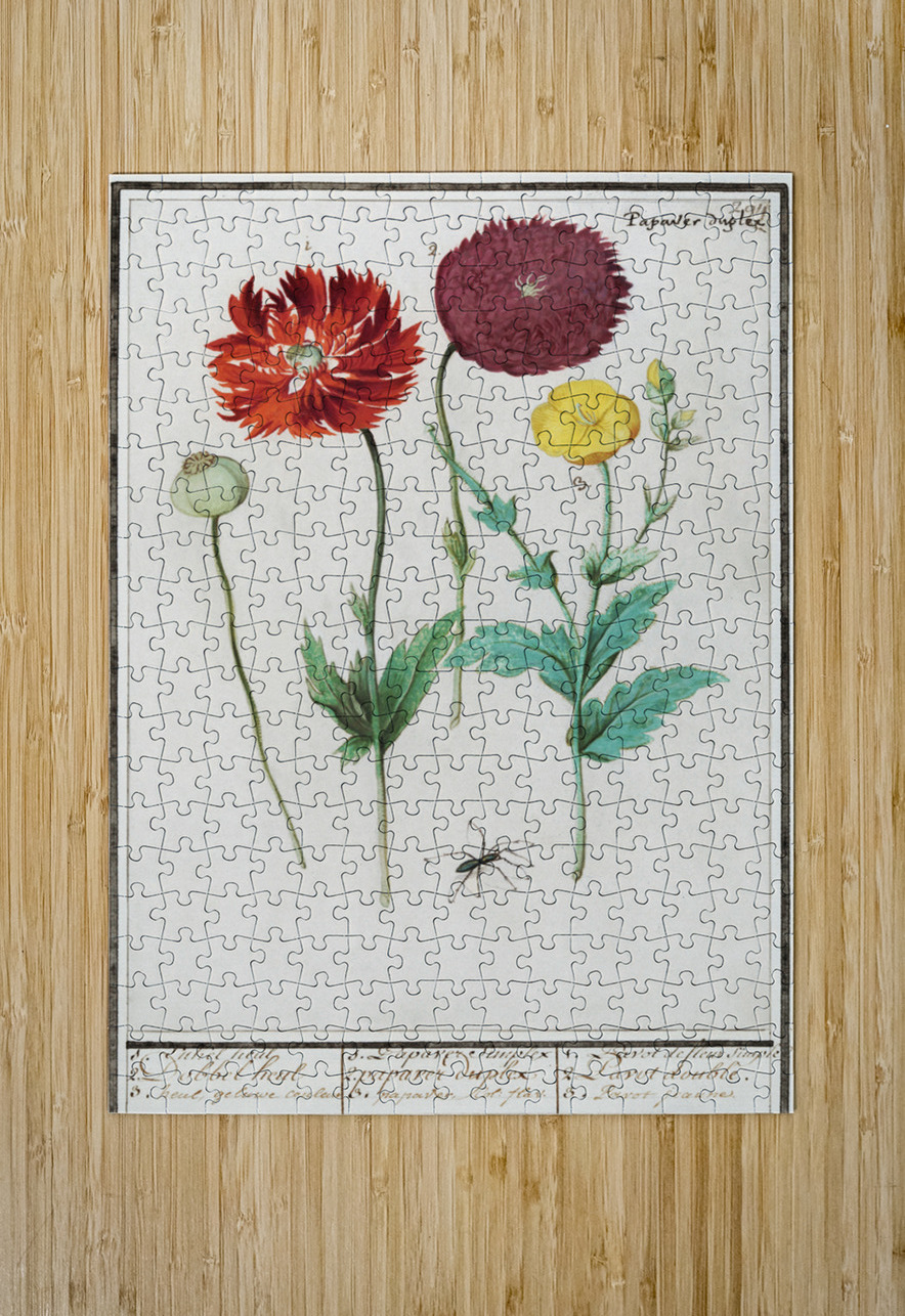 Poppy in vintage style IStockHistory com Puzzle printing