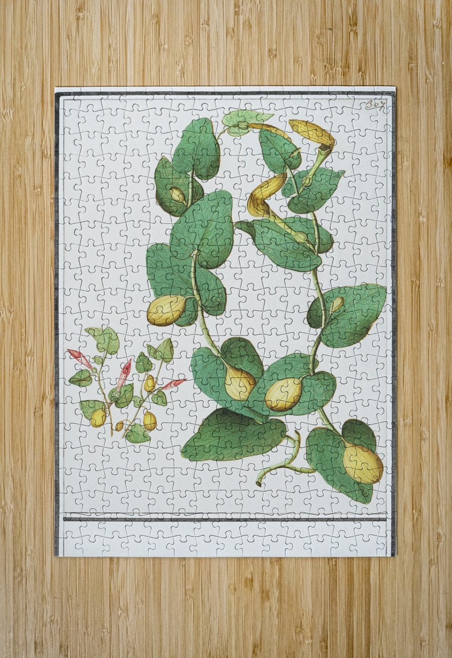 Unknown plant in vintage style IStockHistory com Puzzle printing