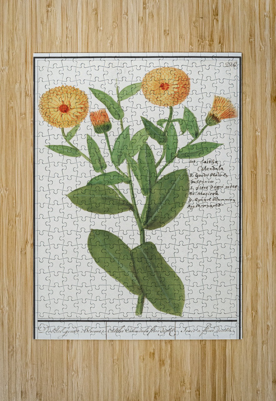 Barn owl in vintage style IStockHistory com Puzzle printing