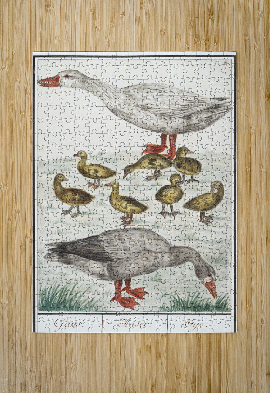 Farm goose in vintage style IStockHistory com Puzzle printing