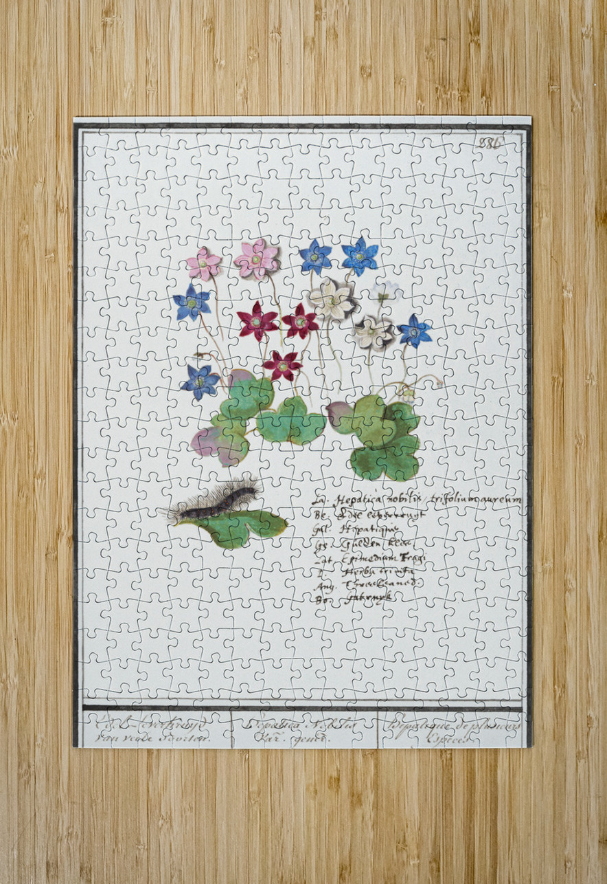 Liverleaf in vintage style IStockHistory com Puzzle printing