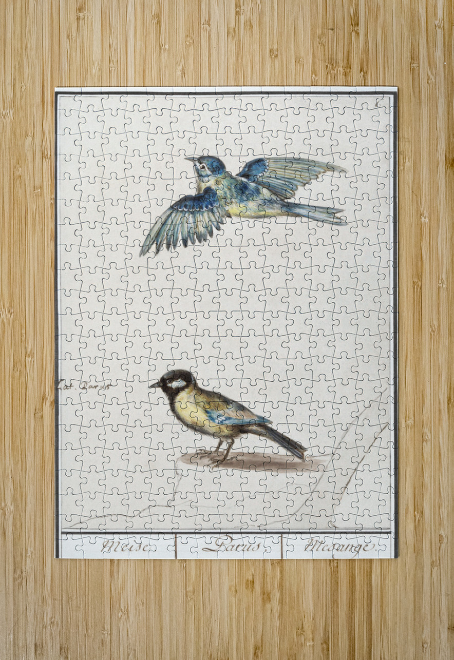 Passerines in vintage style IStockHistory com Puzzle printing