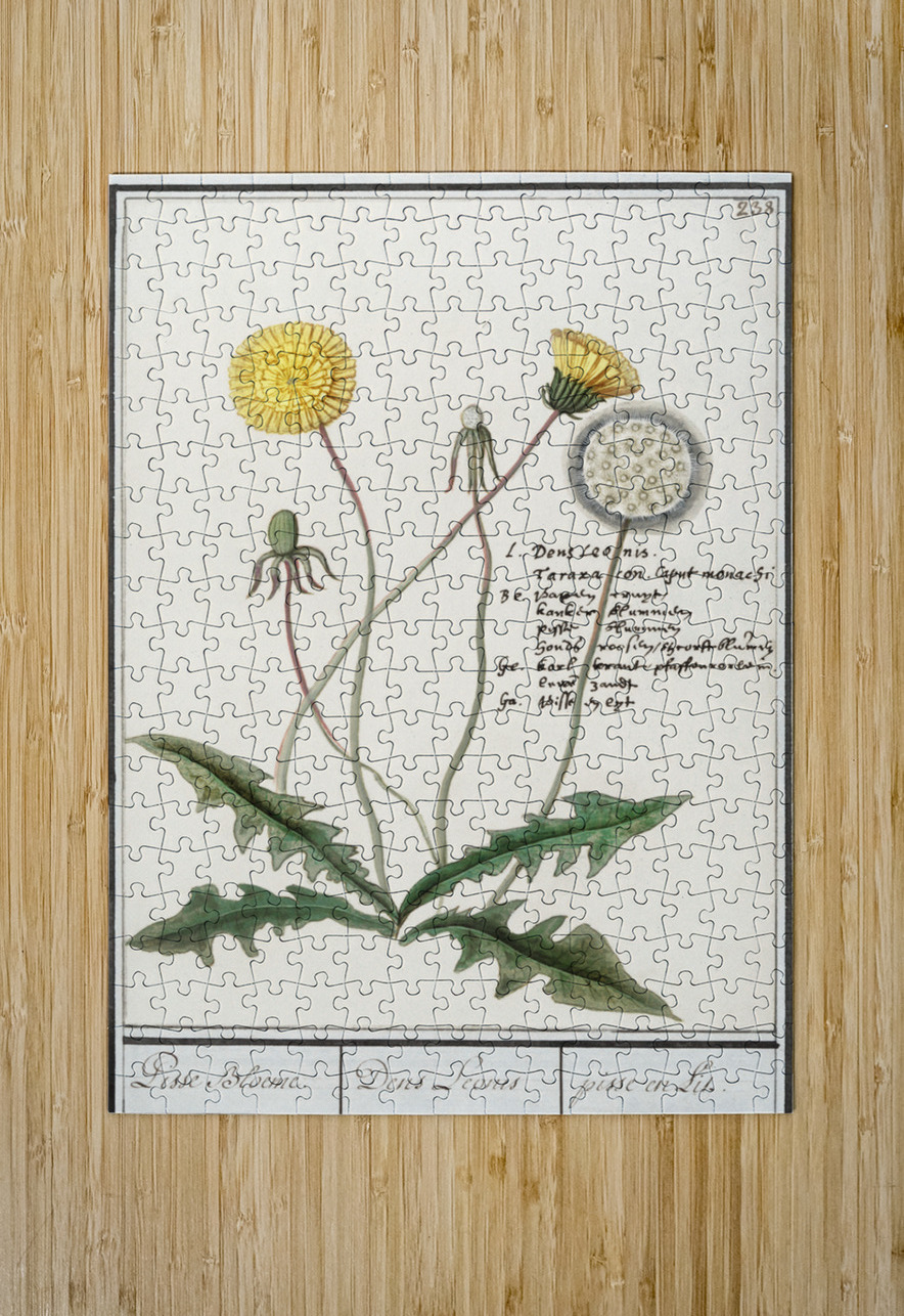Dandelion in vintage style IStockHistory com Puzzle printing