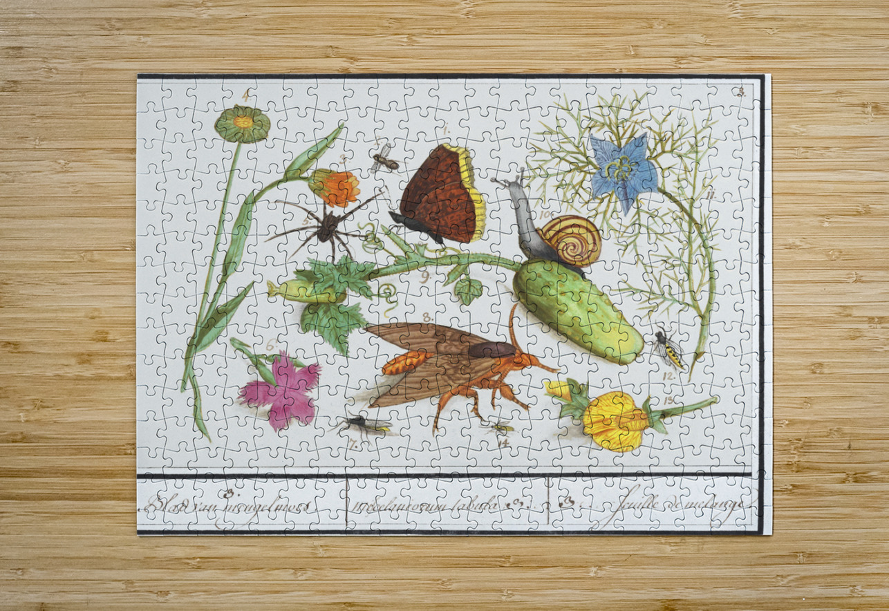 Nature ensemble in vintage style IStockHistory com Puzzle printing