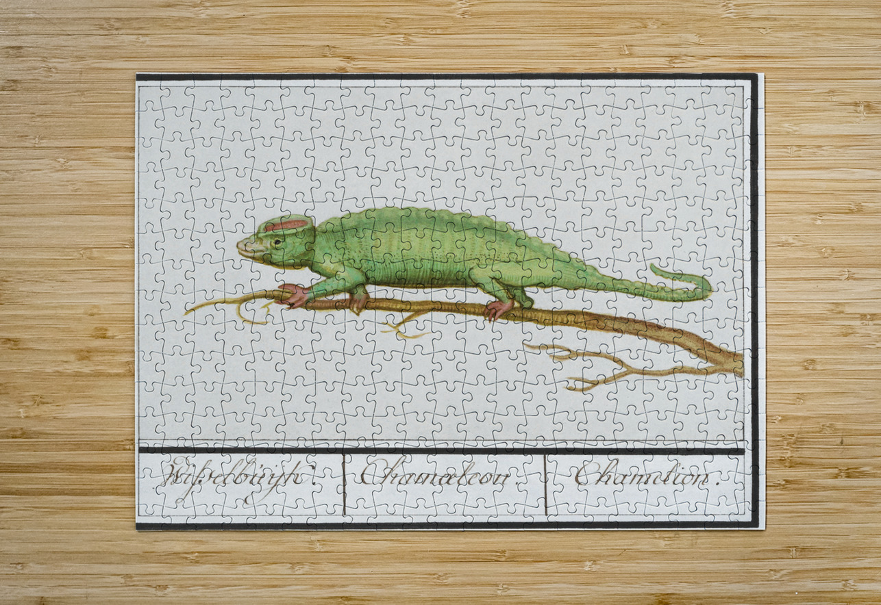 Chameleon in vintage style IStockHistory com Puzzle printing