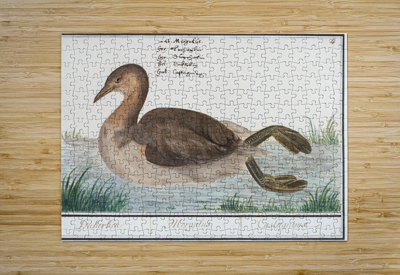 Little grebe in vintage style IStockHistory com Puzzle printing