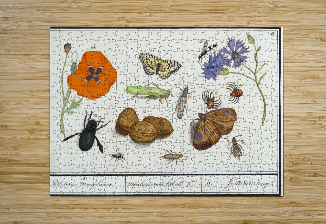 Wallcreeper in vintage style IStockHistory com Puzzle printing