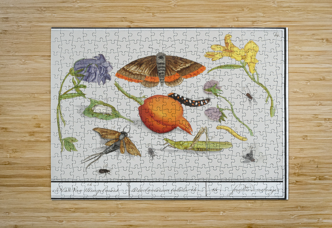 Nature ensemble in vintage style IStockHistory com Puzzle printing