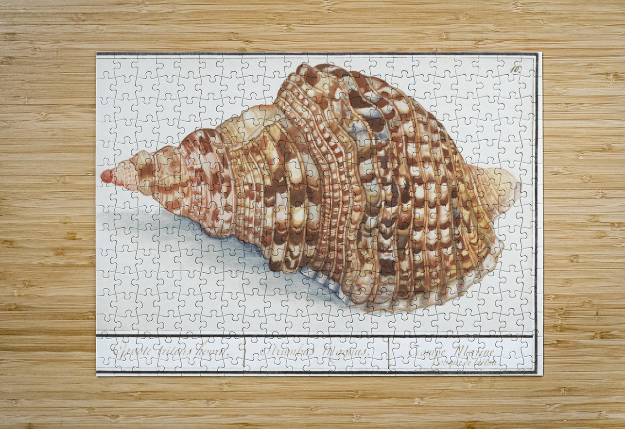 Tritons trumpet in vintage style IStockHistory com Puzzle printing