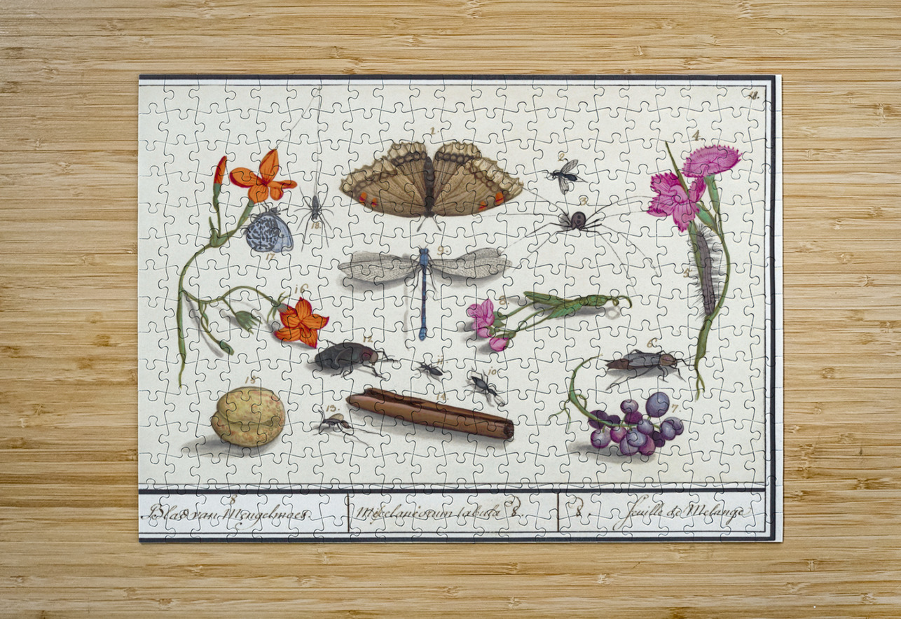 Nature ensemble in vintage style IStockHistory com Impression de puzzle