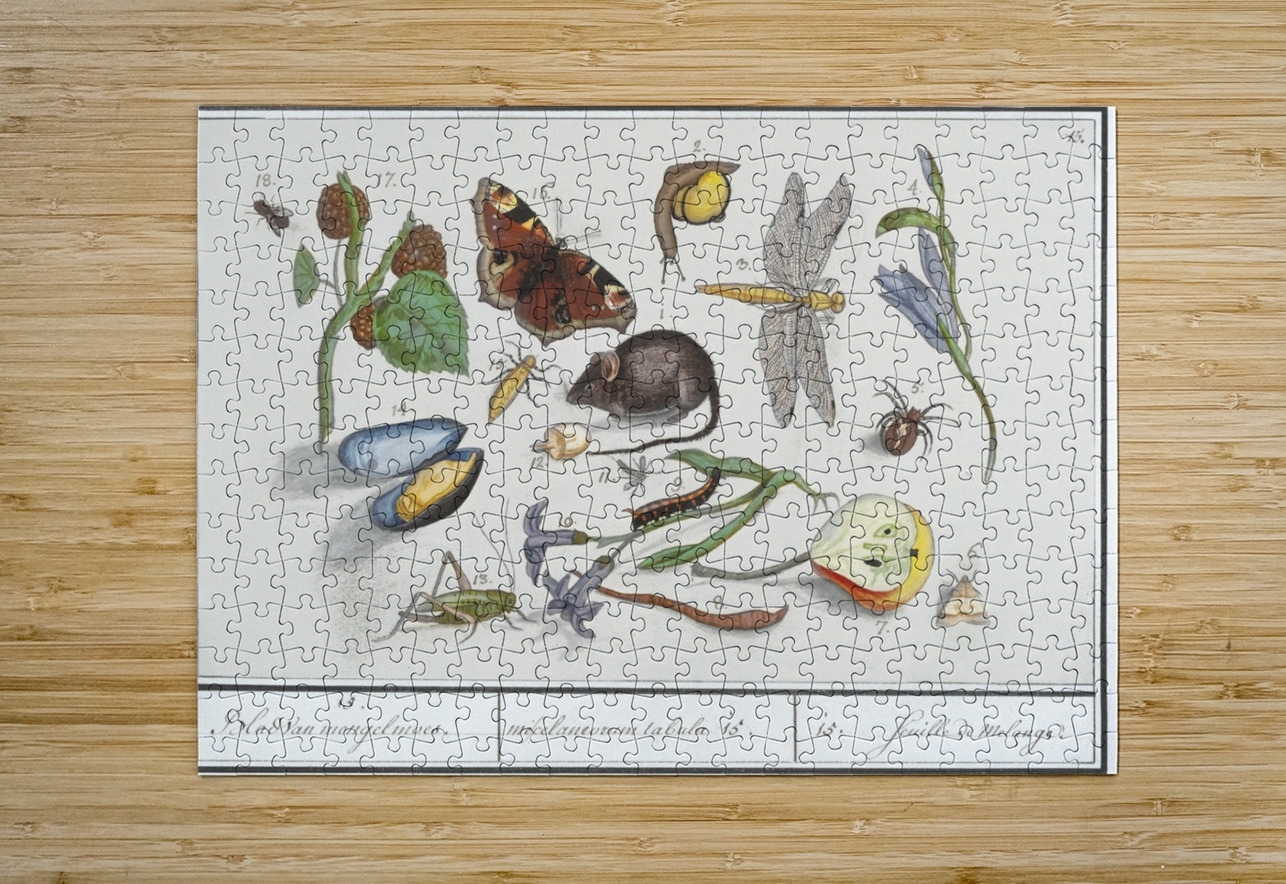 Nature ensemble in vintage style IStockHistory com Puzzle printing