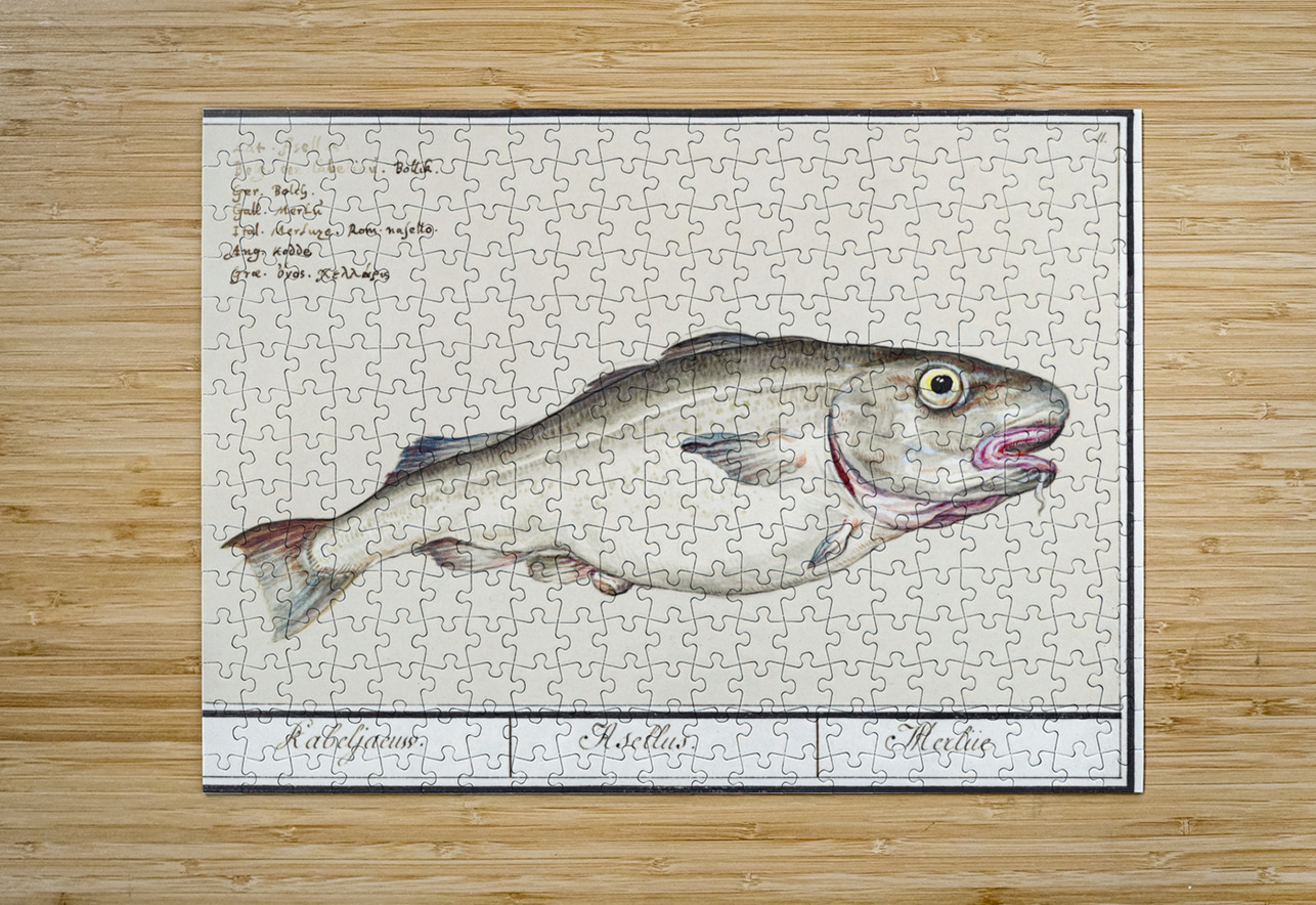Cod in vintage style IStockHistory com Puzzle printing