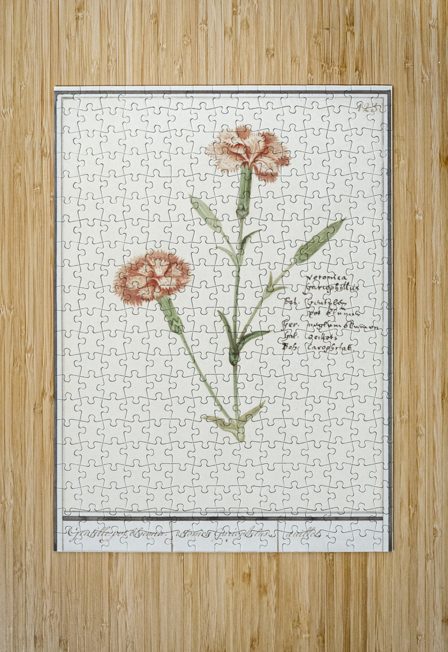 Carnation in vintage style IStockHistory com Puzzle printing