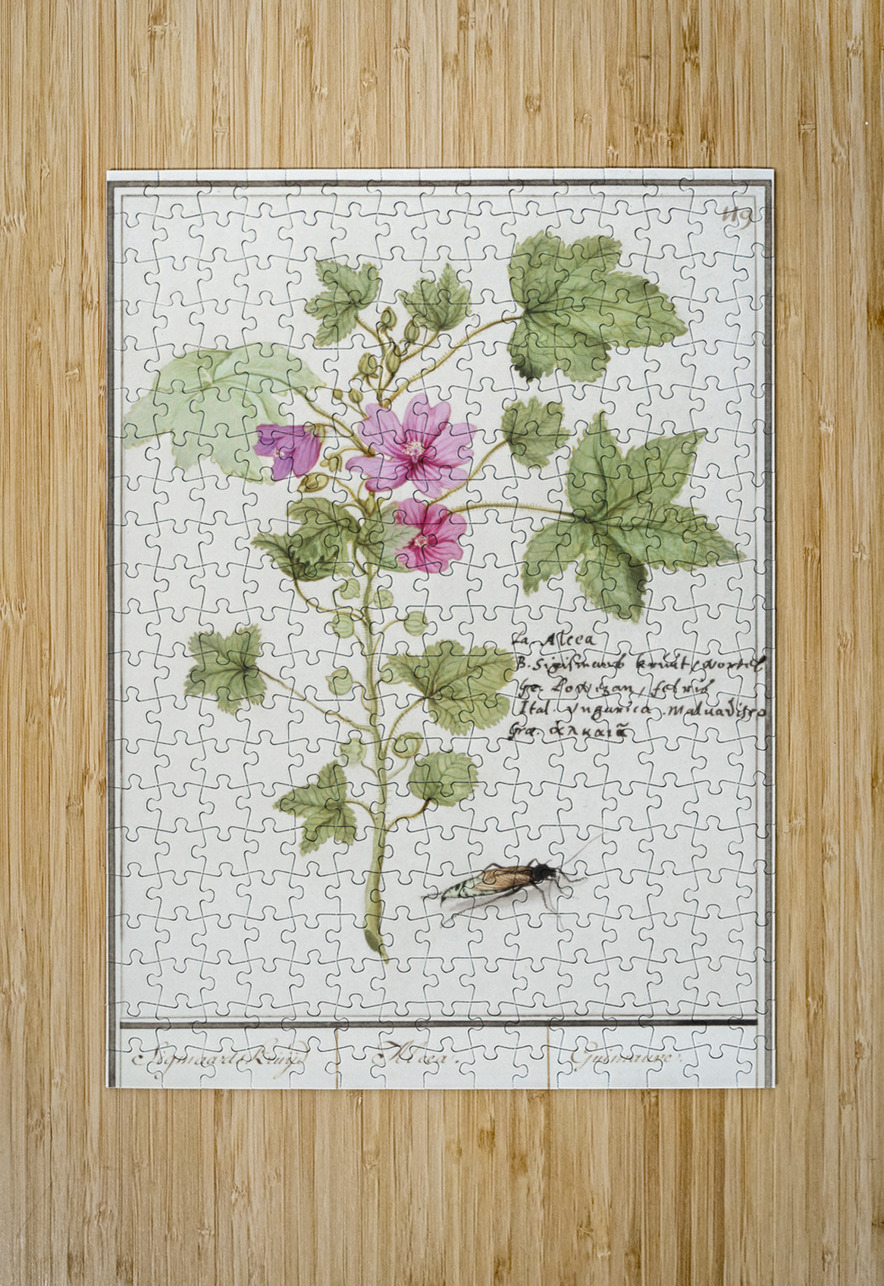 Tulip in vintage style IStockHistory com Puzzle printing